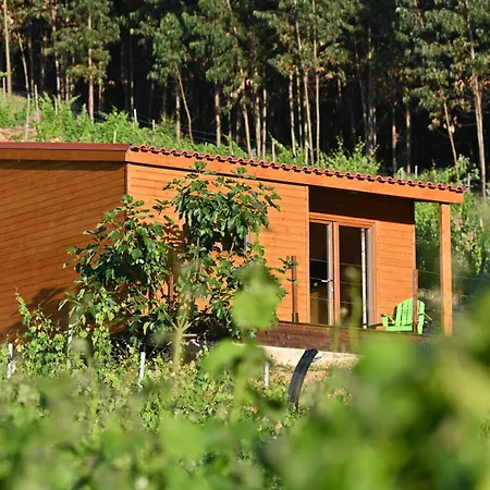 Quinta Da Aldeia Nova Alloggio per agriturismo *