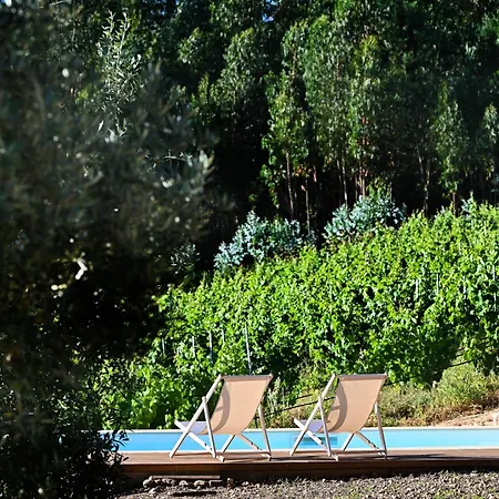 Quinta Da Aldeia Nova Farmház Arganil