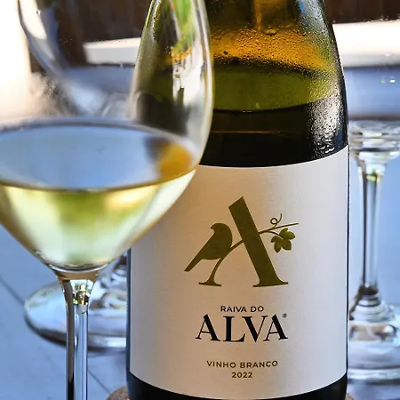 Quinta Da Aldeia Nova *