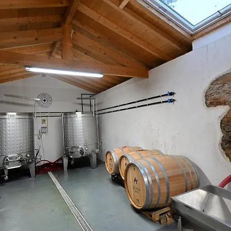 Quinta Da Aldeia Nova Arganil