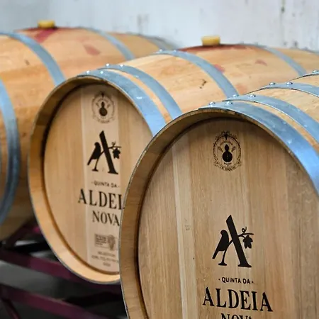 Alloggio per agriturismo Quinta Da Aldeia Nova Arganil