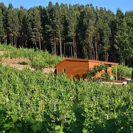 Quinta Da Aldeia Nova *