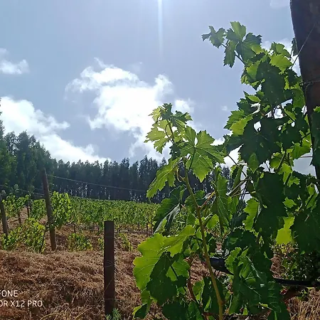 Alloggio per agriturismo Quinta Da Aldeia Nova *