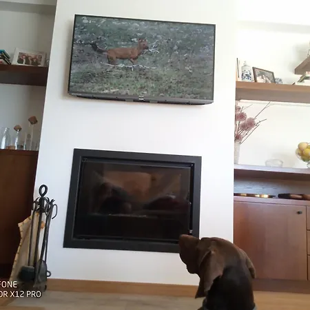 Quinta Da Aldeia Nova Alloggio per agriturismo