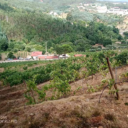 Quinta Da Aldeia Nova *