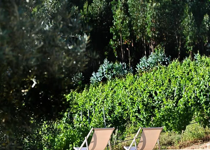 Quinta Da Aldeia Nova ファームステイ アルガニル