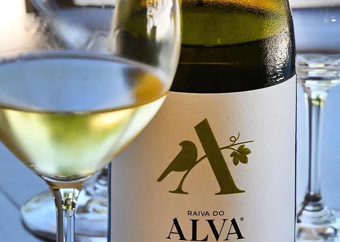 Quinta Da Aldeia Nova *