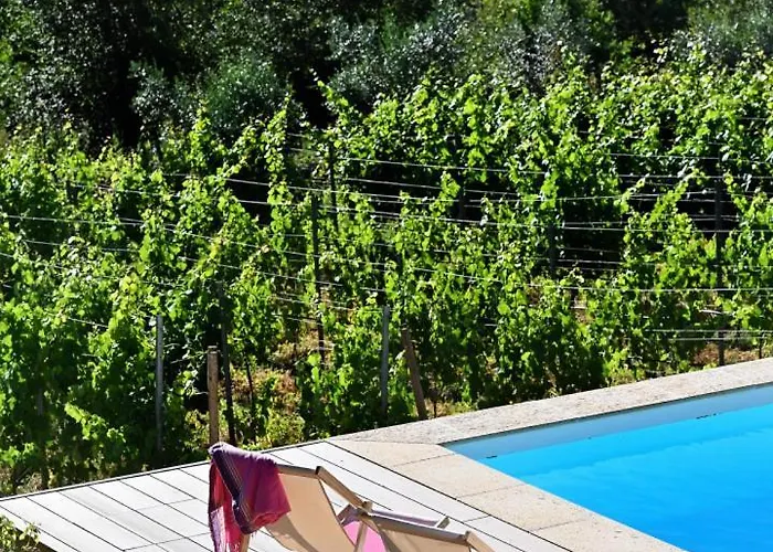 Quinta Da Aldeia Nova أرغانيل