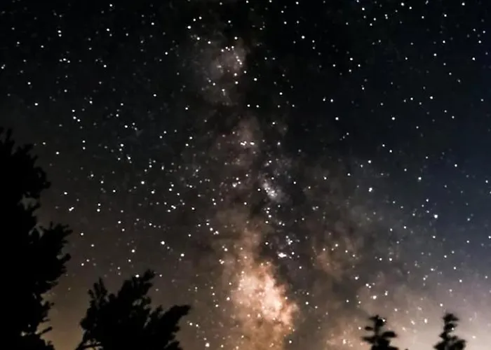 Quinta Da Aldeia Nova *