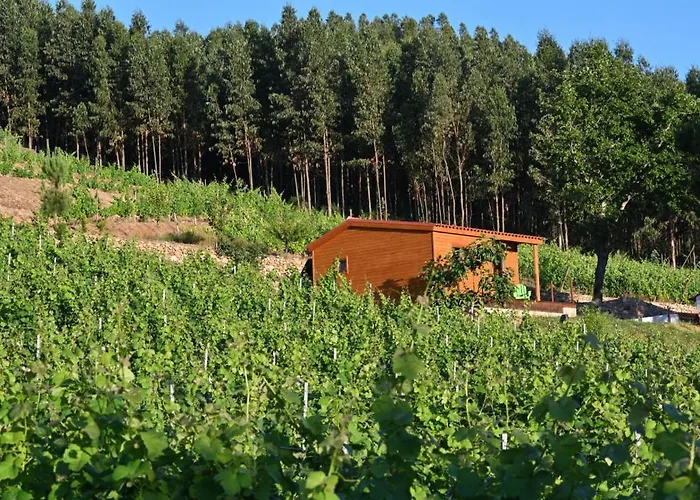 Quinta Da Aldeia Nova *