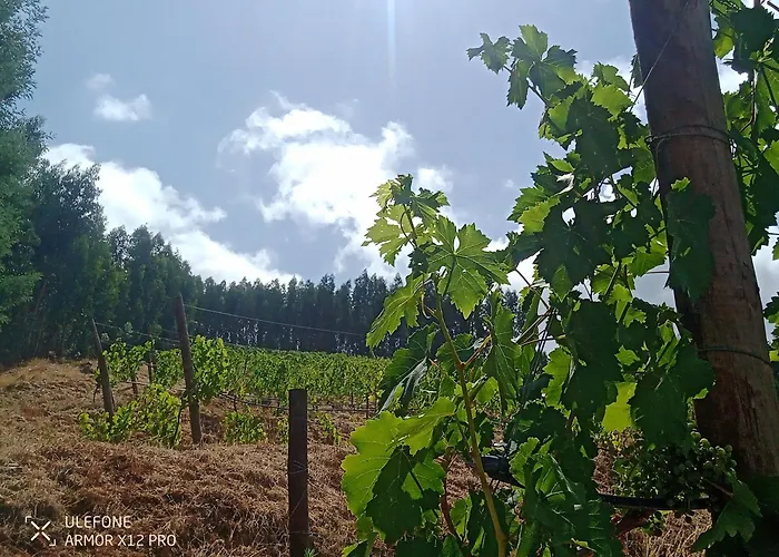 ファームステイ Quinta Da Aldeia Nova *