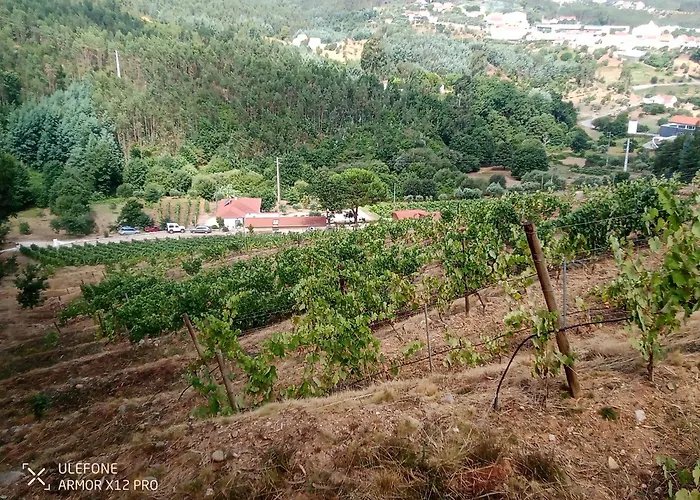 Quinta Da Aldeia Nova *